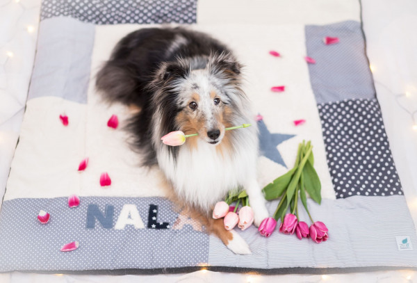 Hundedecke creme/ grau mit Namen
